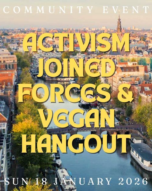 Vegan Hangout