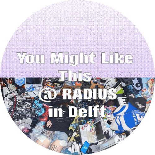 You Might Like This @ RADIUS, Delft