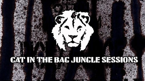 Cat in the bag - label night