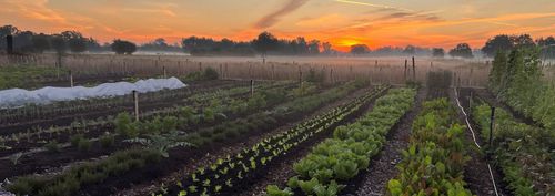 Lenteland Meet-Up: Anders Investeren