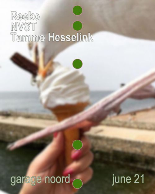 Reeko, NVST, Tammo Hesselink