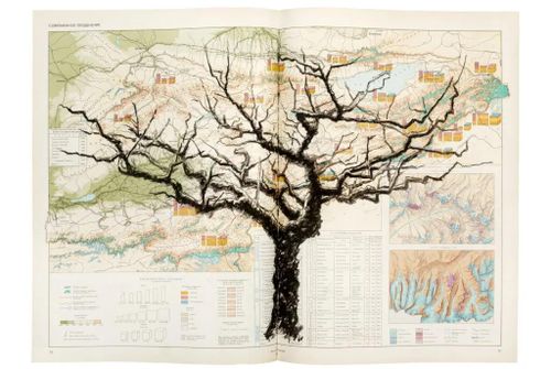 Free the Map: the Politics of Cartography