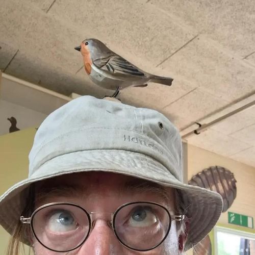 Mini-Safari: About Birds “Listening with Your Ears”