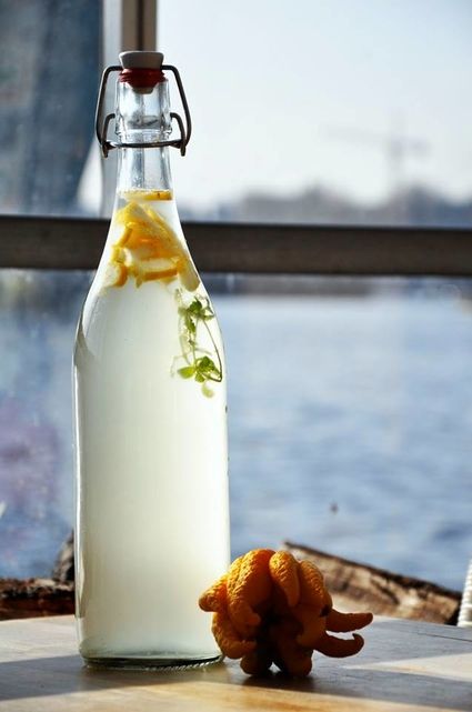 Fermentation Bar