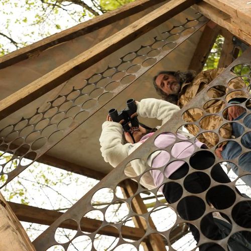 Mini-safari about birds and nests: “How do birds build without hands?”