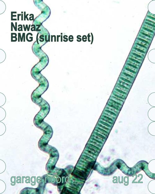 Erika, Nawaz, BMG (sunrise set)