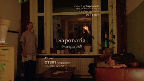 Kunstfilm / Mini Concert - Saponaria (~zeepkruid)