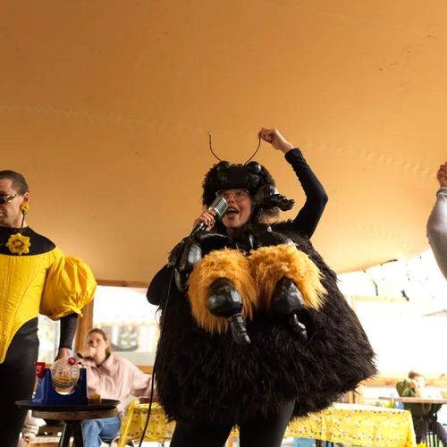 Mini Safari “Join the Wild Bee Expedition and discover the mystery of the wild bee”