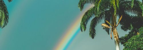 Bou di Watapana #7: Queer Caribbean Voices