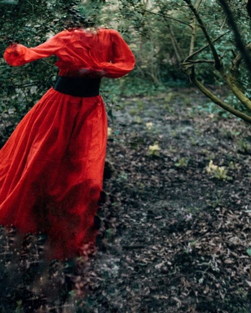 The Queerest Wuthering Heights Day Ever