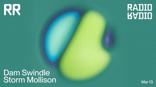 Dam Swindle • Storm Mollison