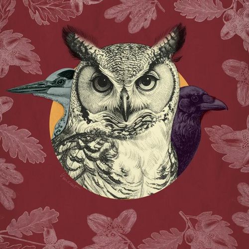 20/12 | Sustainable Christmas Market