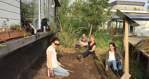 Purifying Park Afternoon! Want to lend us a hand?