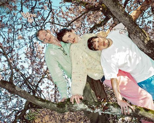 Löwenzahnhonig | support: epilady