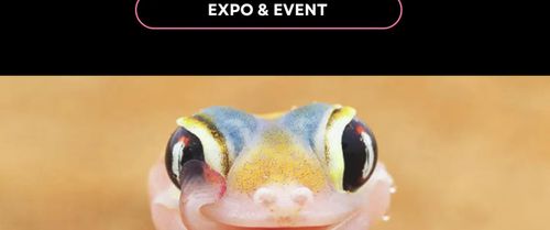 WORLD PRIDE | Queer Nature Photography Awards