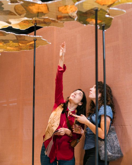 Guided Tour: Shapeshifters, On Wounds, Wonders and Transformation