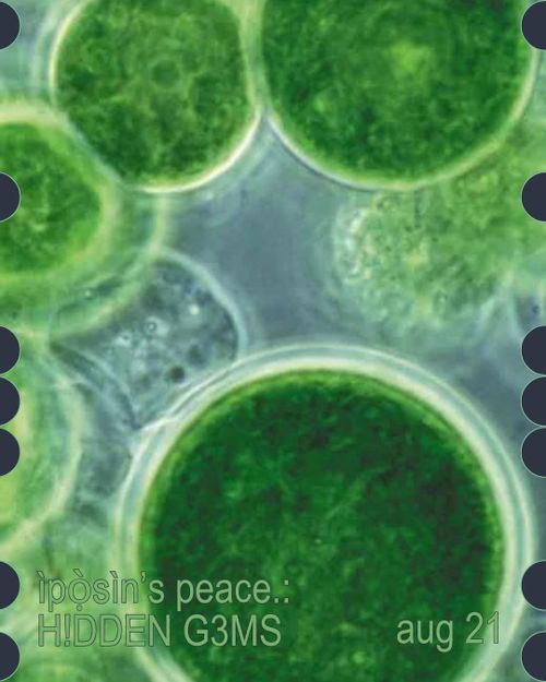 ìpọ̀sìn’s peace.: H!DDEN G3MS