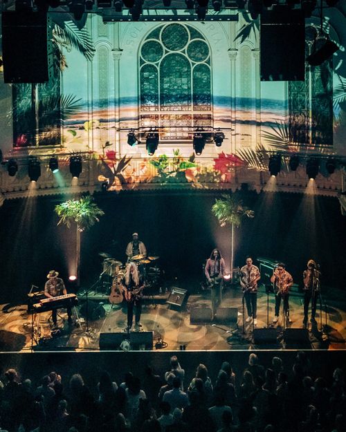 Young Gun Silver Fox