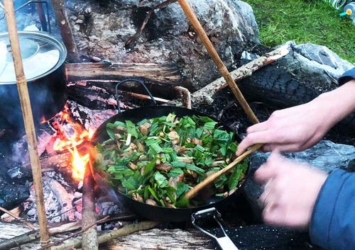 Foraging Expedition // Summer
