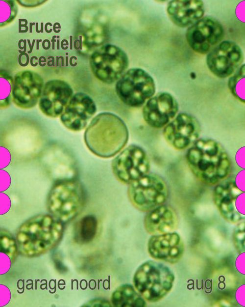 Bruce, gyrofield, Oceanic