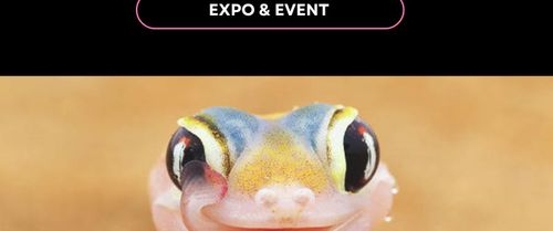 WORLD PRIDE | Queer Nature Photography Awards