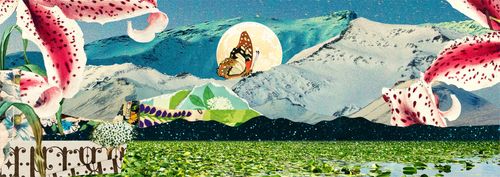 Collage with CCA: Create your own Dream Garden