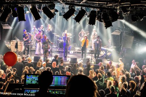 The Amsterdelics