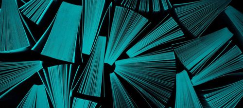 Niña Weijers in gesprek met de Poolse auteur Urszula Honek