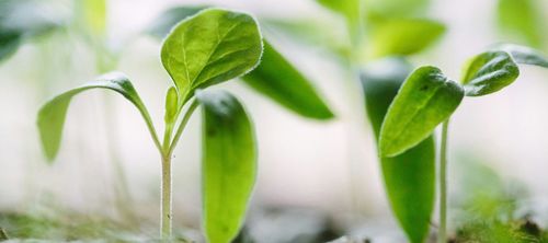 Radical Abundance: A Political Agenda for Cities