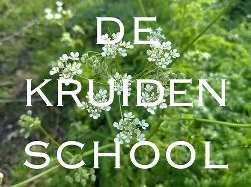 De Kruidenschool – workshops en cursussen