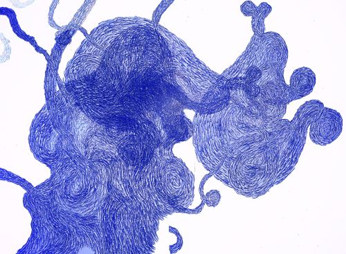 VOKU to support book publishing "Tattoo on The Waterwave"