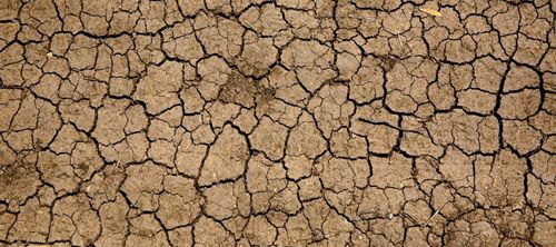 Climate Politics Ten Years after the Paris Agreement