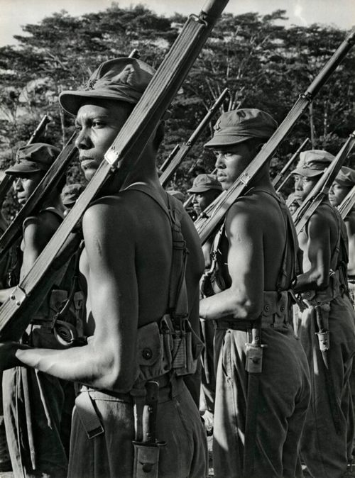 Tachtig jaar na de Revolusi – een gedeeld verhaal?