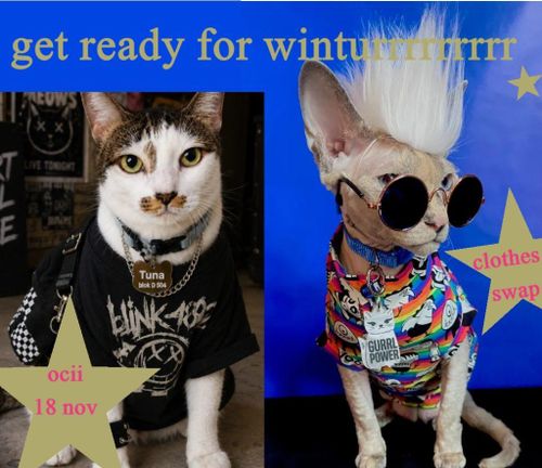 Clothes Swap “All Community Access Boutique”