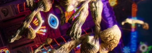 Artistry, Mental Health & Psychedelics