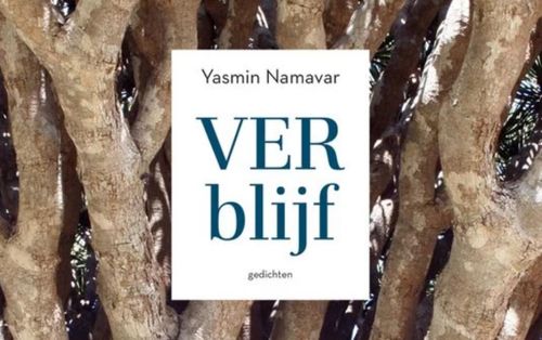 Book launch: 
<em>verblijf</em>