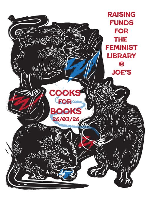 Cooks for Books: Chaos Kitchen Voku for Feminist Library Noord