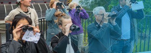 BioBlitzen voor de vroege vogels