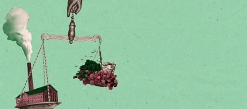 Plaats maken: over ecologie, zorg en het recht op ruimte