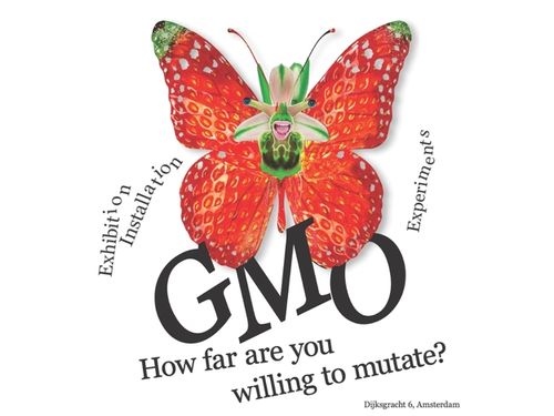 GMO: How far are you willing to mutate?