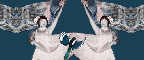 Sour Silk Cabaret: Vogelbuurt Editie