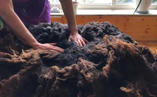 Sheep-friendly felting workshop at The Ceuvel