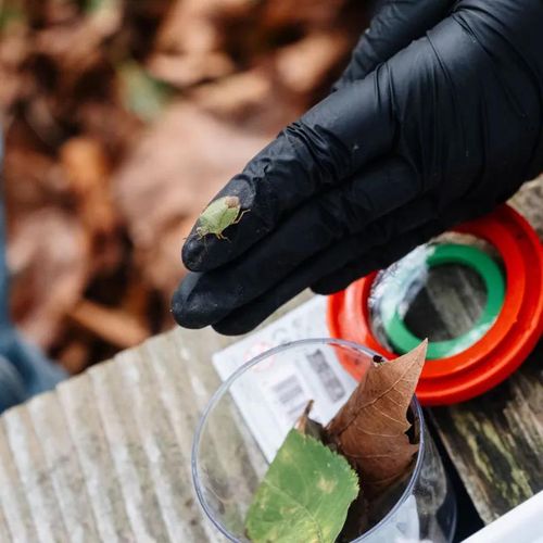 Mini Safari about soil life – Do you know creepy crawlies?