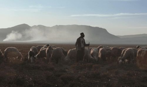 Zagros (2018)