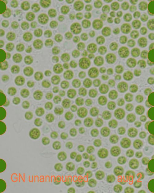 Garage Noord unannounced