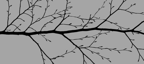 Kinderrechten als hefboom voor de toepassing van mensenrechten