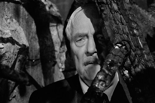 CiNEMERCATOR - Ingmar Bergman WILD STRAWBERRIES 1957