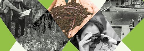 BioBlitz: Natuurgeheimen in de bodem