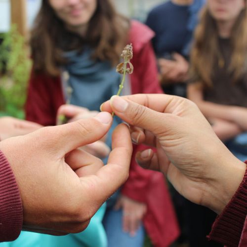 Workshop Tuinieren: Wicking beds – Een zelfwaterend systeem
