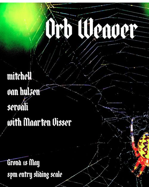 Orb Weaver with Maarten Visser